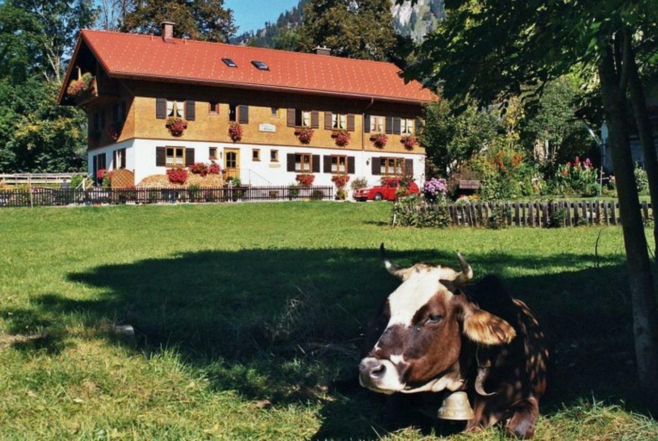 Gaestehaus Hedwig Bad Hindelang Esterno foto